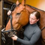 Horse Care for the Total Beginner - You CAN Do This! - Horse Rookie