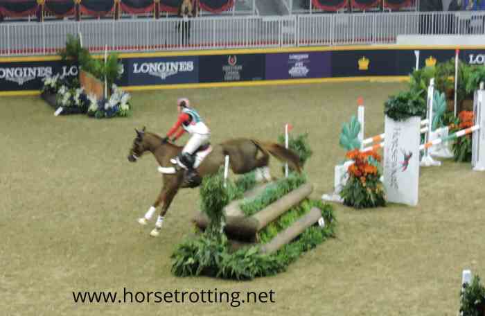 Feeding an eventing horse for peak performance | Abler